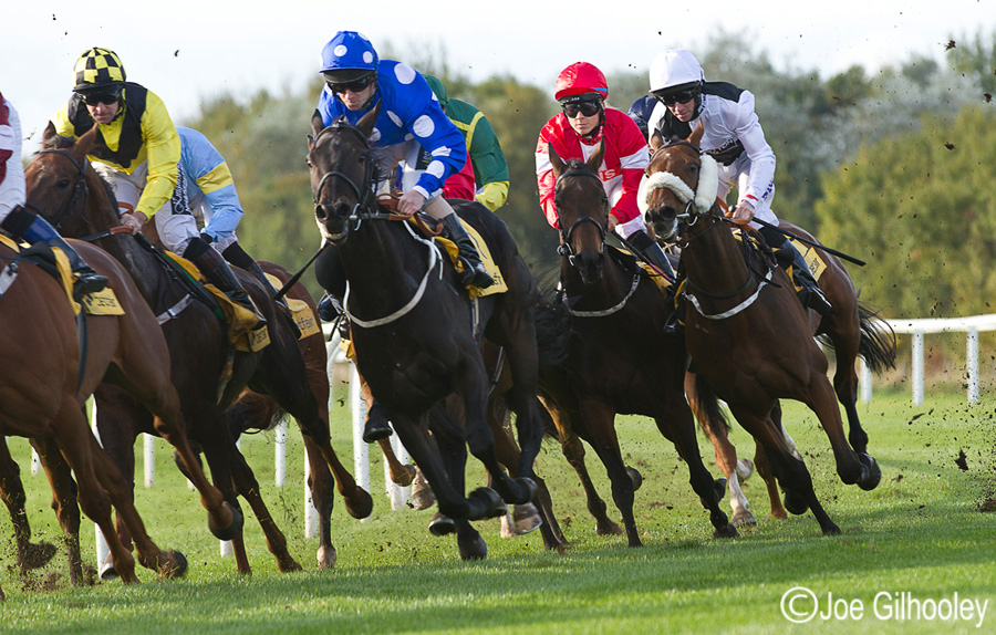 Musselburgh Race Meeting Monday 14th October 2013 - my favourite bend