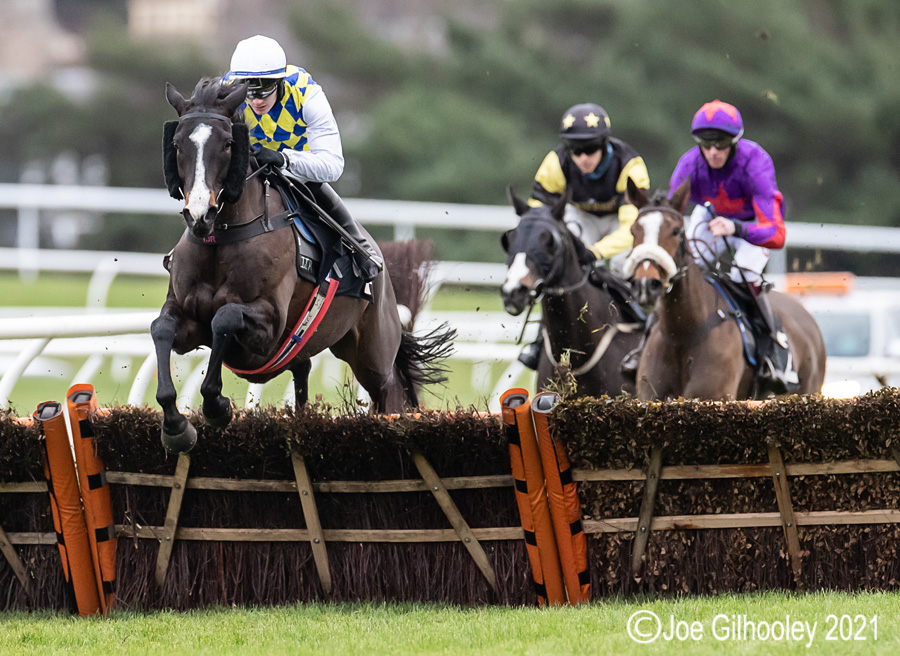 Musselburgh Races - Jumps Meeting
