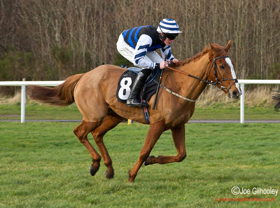 Musselburgh Race Meeting Monday 24th February 2014