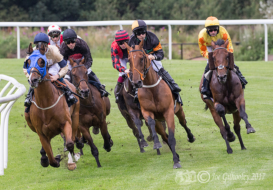 Musselburgh Horse Racing