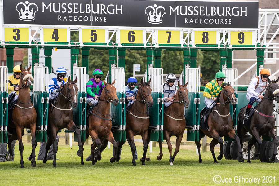 Musselburgh Horse Racing 