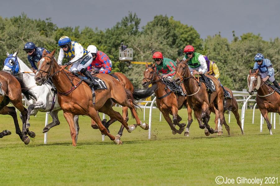Musselburgh Horse Racing