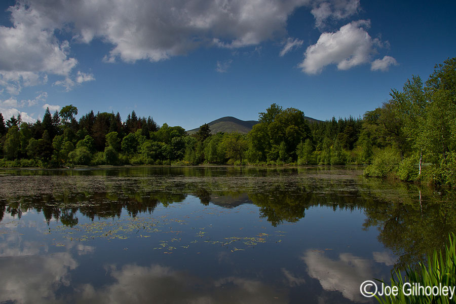 Penicuik Estate High Pond - Pentland Hills in background and reflecting in water