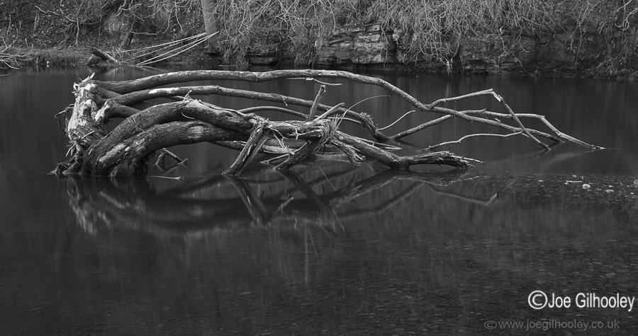 River Esk Powdermill Roslin Glen - 4th January 2014