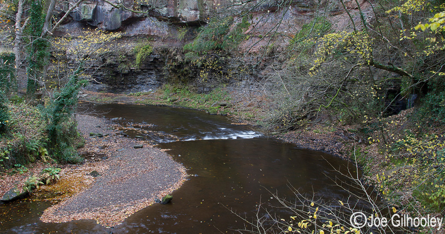River Esk Powdermill Roslin Glen - 15th November 2013