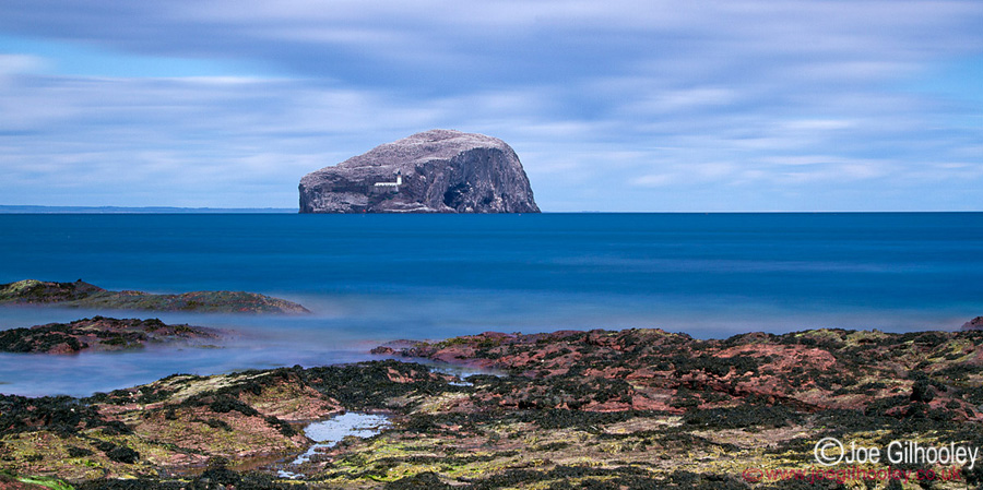 The Bass Rock from Seacliff Beach 