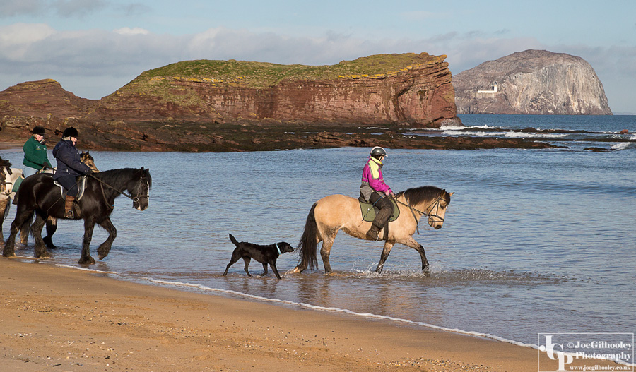 Horse riding on Seacliff Beach