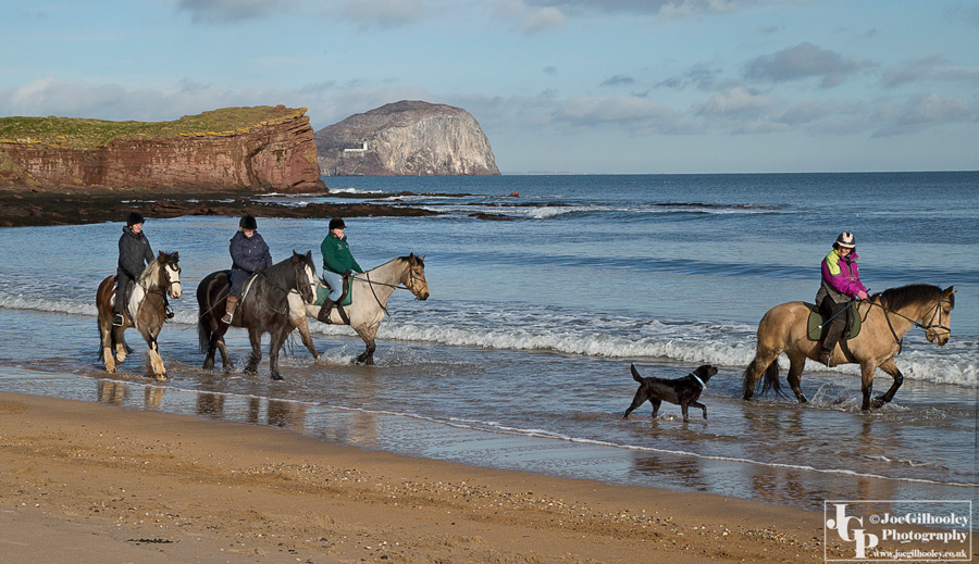 Horse riding on Seacliff Beach