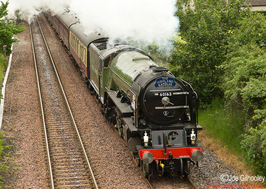 Tornado 60163 Steam Train at Dunblane - "The Highland Rambler"