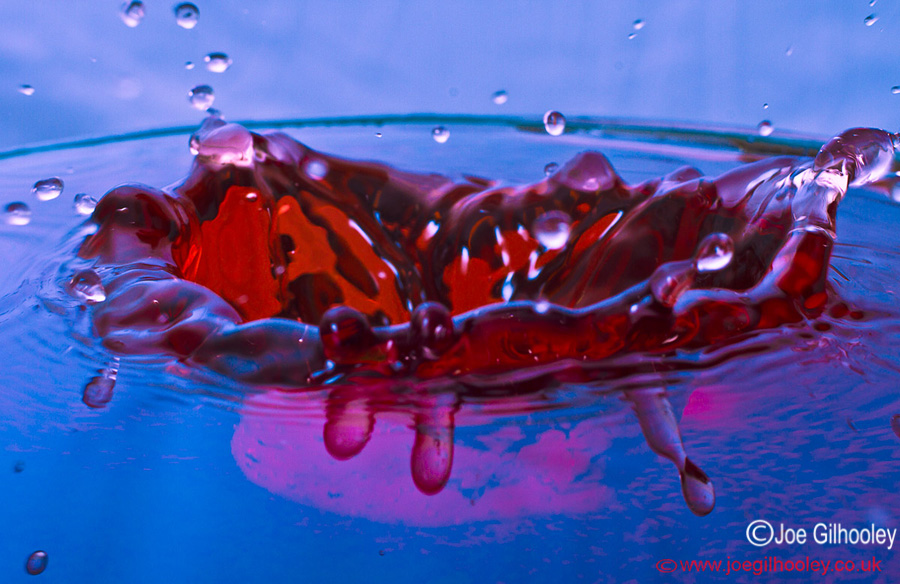 Strawberry falling into coloured water
