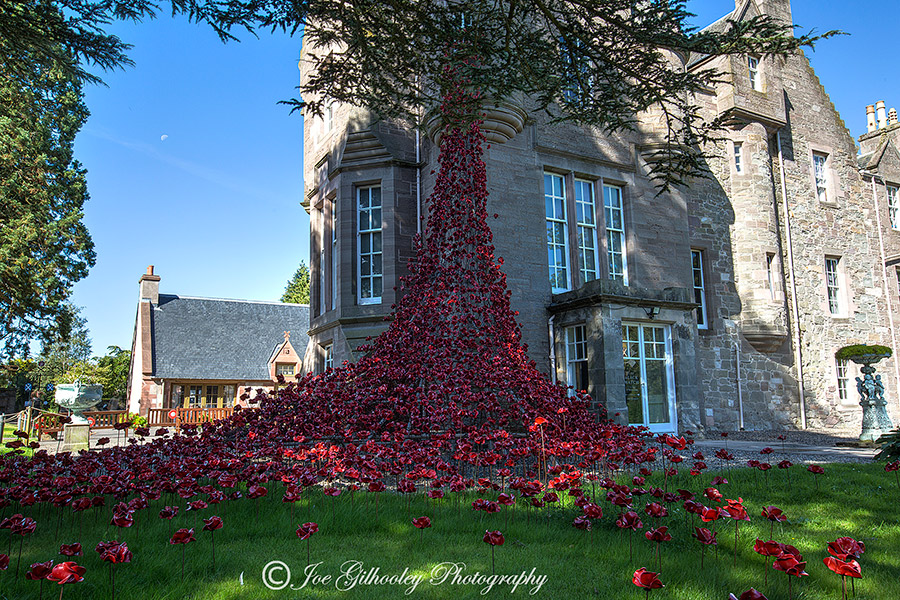 Poppies Weeping Window at The Black Watch Museum Perth