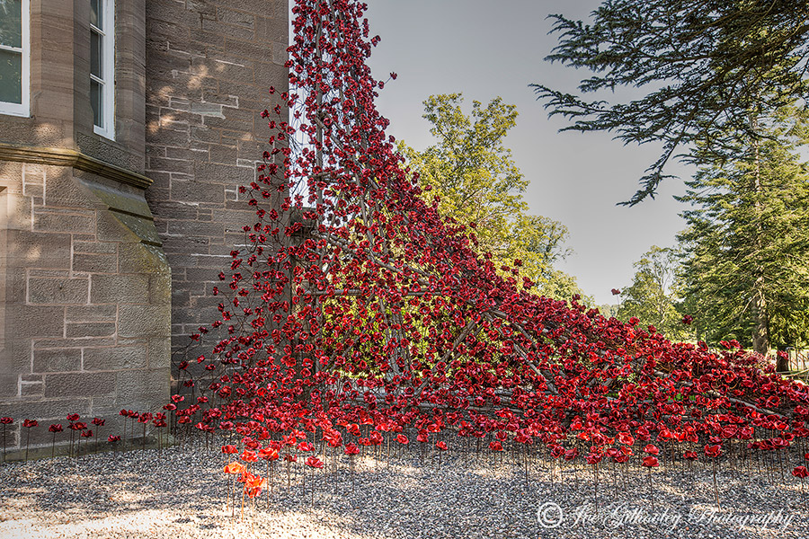 Poppies Weeping Window at The Black Watch Museum Perth